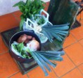 /album/galeria-de-fotos-galeria-fotos1/cabaz-horticolas-5-jpg1/